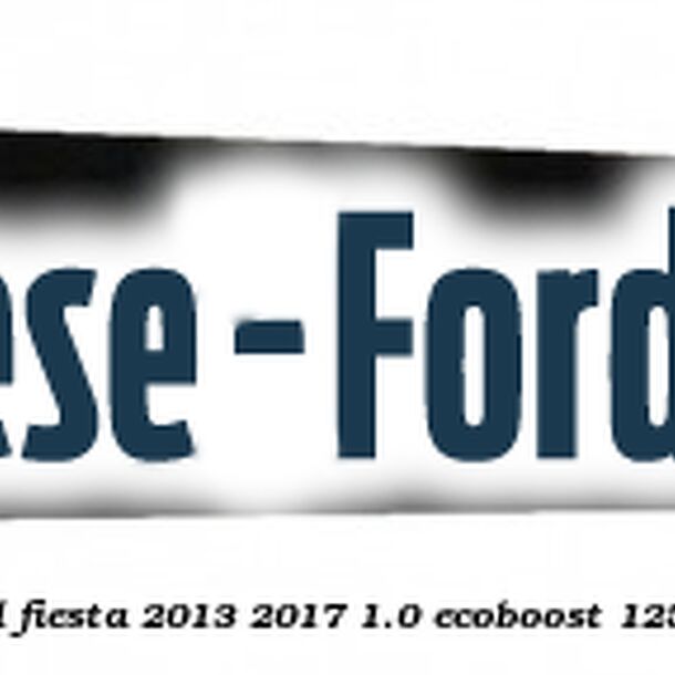 Bandou usa dreapta fata vertical Ford Fiesta 2013-2017 1.0 EcoBoost 125 cai benzina