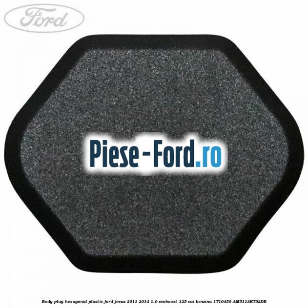 Body plug, hexagonal plastic Ford Focus 2011-2014 1.0 EcoBoost 125 cai benzina #3FE1E9E231