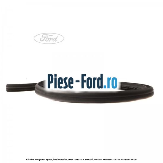 Cheder stalp usa spate Ford Mondeo 2008-2014 2.3 160 cai benzina