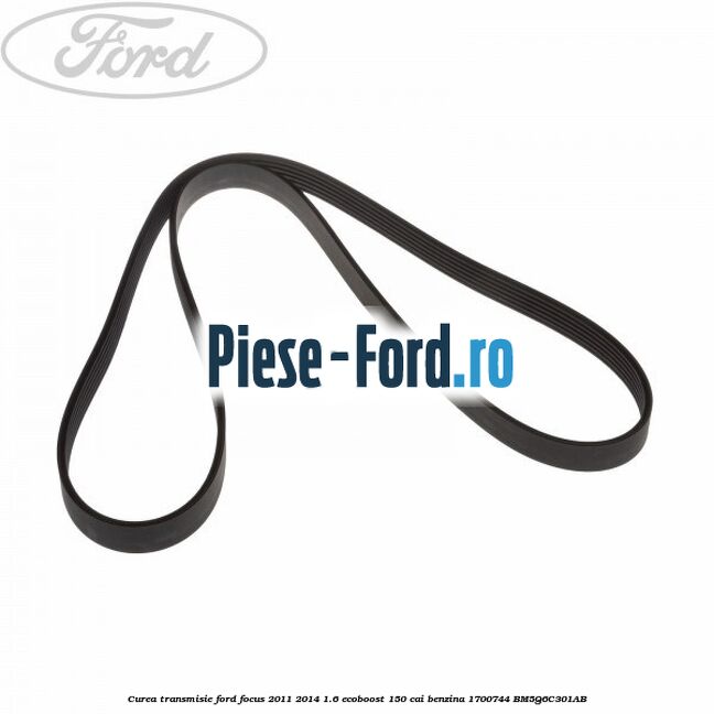 Curea transmisie Ford Focus 2011-2014 1.6 EcoBoost 150 cai #897FD4992A Curea transmisie Ford Focus 2011-2014 1.6 EcoBoost 150 cai benzina #897FD4992A