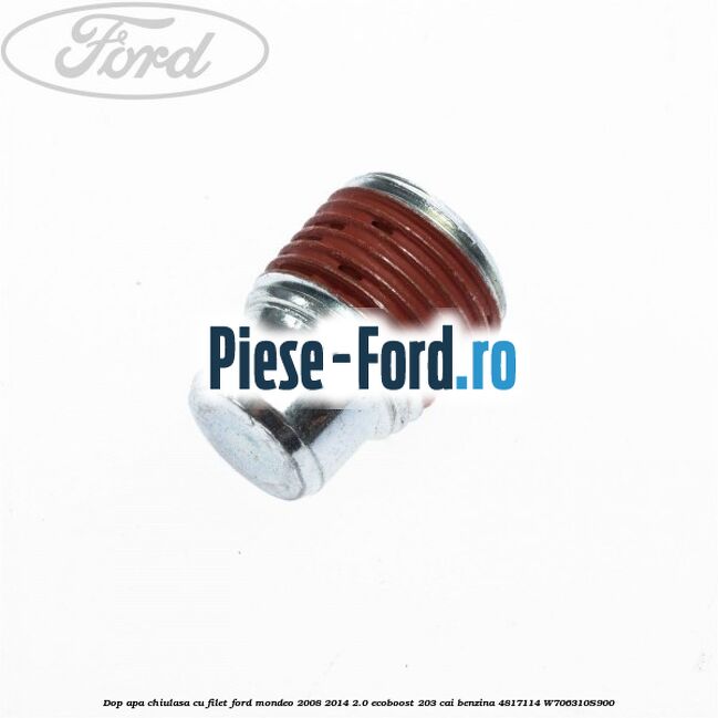 Dop apa chiulasa, cu filet Ford Mondeo 2008-2014 2.0 EcoBoost 203 cai benzina