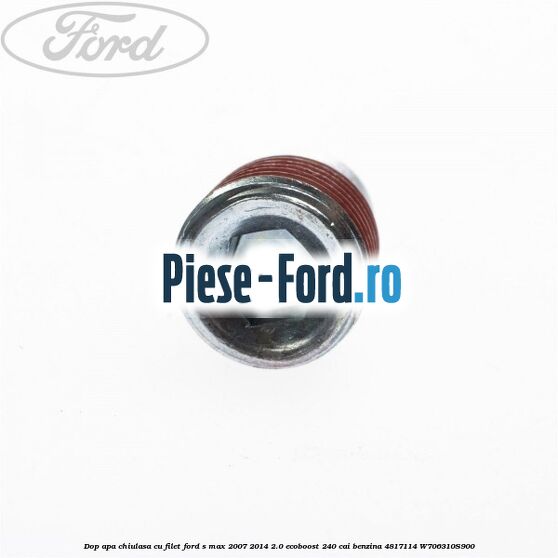 Dop apa chiulasa, cu filet Ford S-Max 2007-2014 2.0 EcoBoost 240 cai benzina