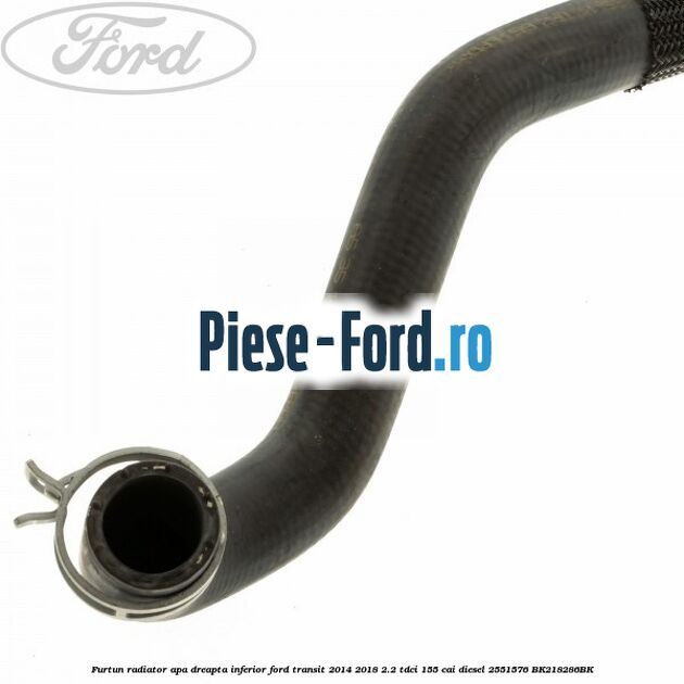Furtun radiator apa dreapta inferior Ford Transit 2014-2018 2.2 TDCi 155 cai diesel #5B19AA4772