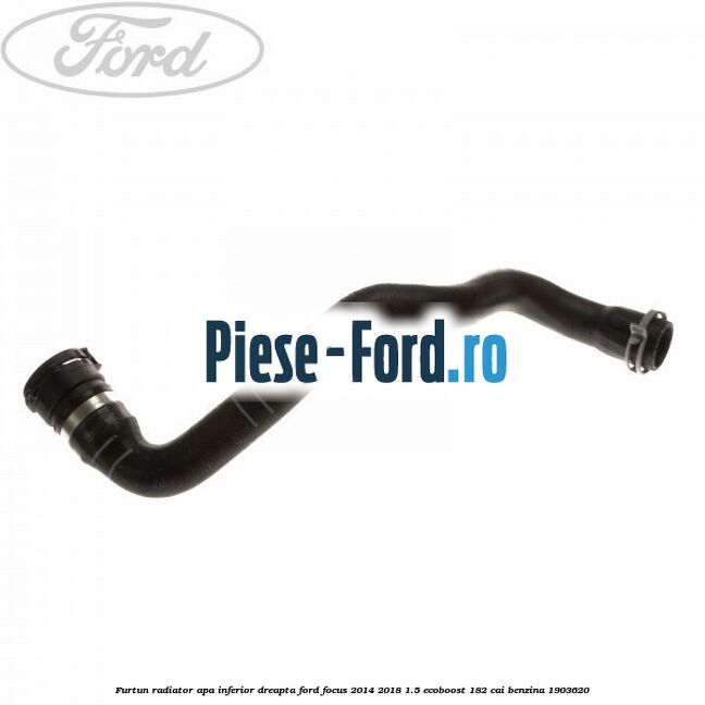 Furtun radiator apa inferior, dreapta Ford Focus 2014-2018 1.5 EcoBoost 182 cai