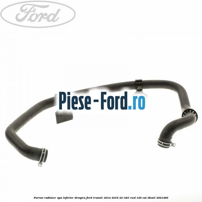 Furtun radiator apa inferior, dreapta Ford Transit 2014-2018 2.2 TDCi RWD 125 cai #1C85FFD902