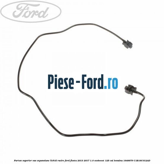 Dop vas expansiune Ford Fiesta 2013-2017 1.0 EcoBoost 125 cai benzina