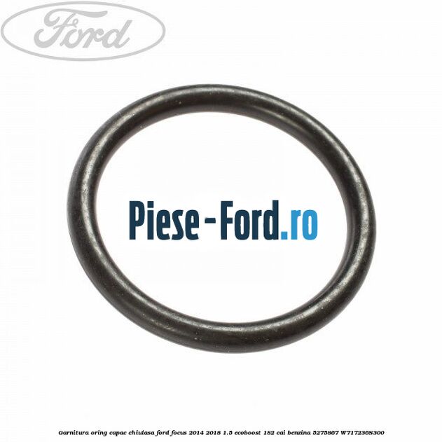 Garnitura, galerie admisie Ford Focus 2014-2018 1.5 EcoBoost 182 cai benzina