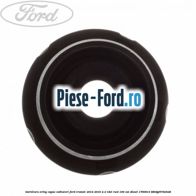 Garnitura oring capac culbutori Ford Transit 2014-2018 2.2 TDCi RWD 100 cai diesel