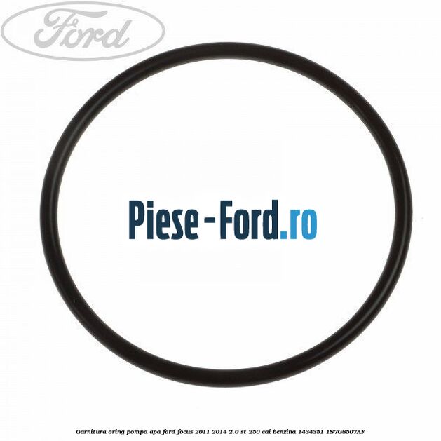 Garnitura, oring pompa apa Ford Focus 2011-2014 2.0 ST 250 cai benzina