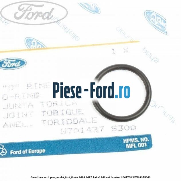Garnitura, sorb pompa ulei Ford Fiesta 2013-2017 1.6 ST 182 cai benzina