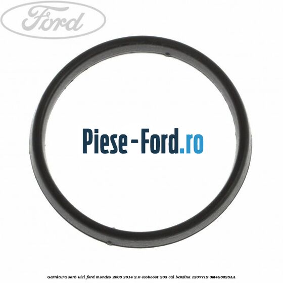 Garnitura sorb ulei Ford Mondeo 2008-2014 2.0 EcoBoost 203 cai benzina