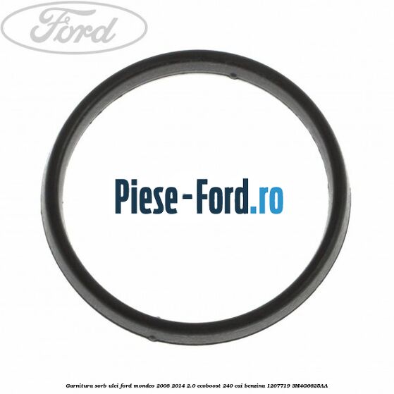 Garnitura sorb ulei Ford Mondeo 2008-2014 2.0 EcoBoost 240 cai benzina