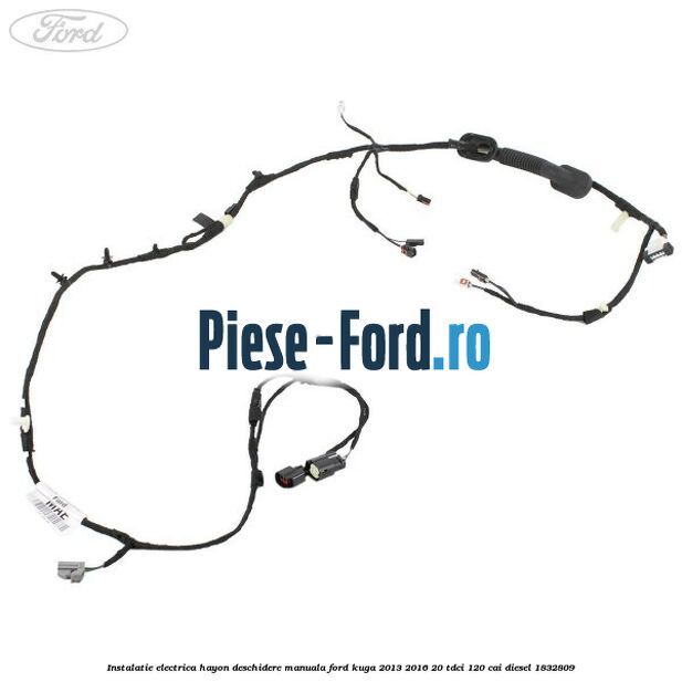 Instalatie electrica hayon deschidere manuala Ford Kuga 2013-2016 2.0 TDCi 120 cai #FE1D5C1968