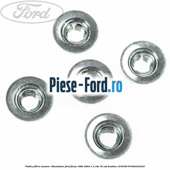 Piulita filtru uscator climatizare Ford Focus 1998-2004 1.4 16V 75 cai benzina