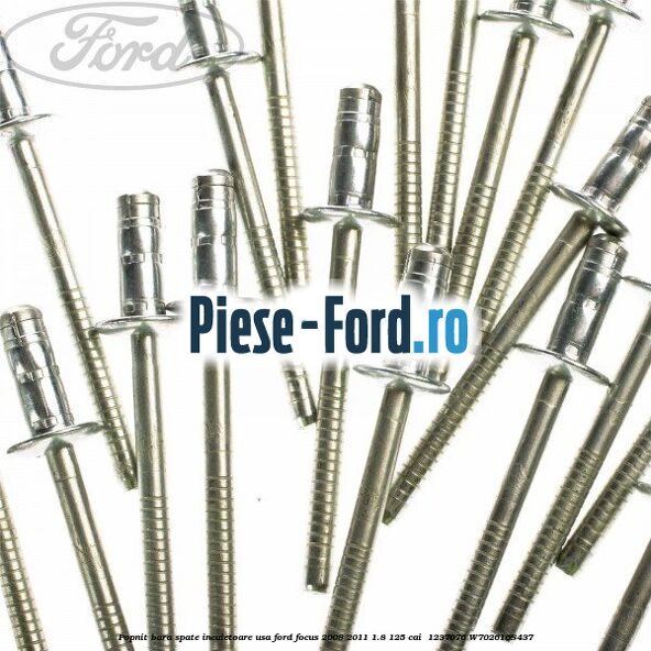 Popnit bara spate, incuietoare usa Ford Focus 2008-2011 1.8 125 cai  #1D53BF11D2