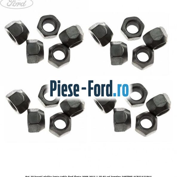 Set 20 bucati piulite janta tabla Ford Fiesta 2008-2012 1.25 82 cai benzina