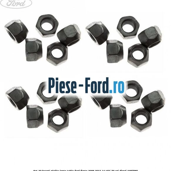 Set 20 bucati piulite janta tabla Ford Fiesta 2008-2012 1.4 TDCi 70 cai #8B7DF3C2CD