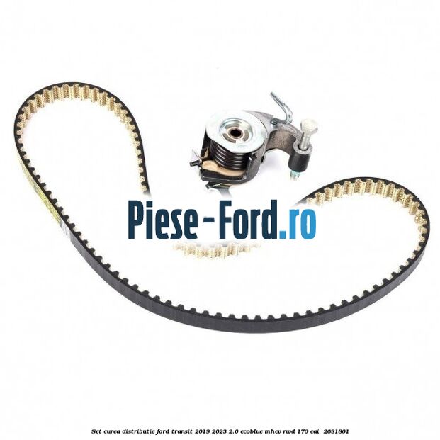 Set curea distributie Ford Transit 2019-2023 2.0 EcoBlue mHEV RWD 170 cai  #694A343380