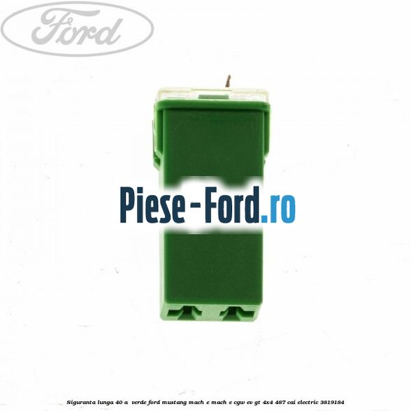 Siguranta lunga 40 A , verde Ford Mustang Mach-E MACH-E (CGW) EV GT 4x4 487 cai electric #5F1322AD50