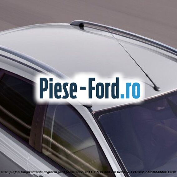 Sine plafon longitudinale, argintiu Ford Focus 2008-2011 2.5 RS 305 cai benzina