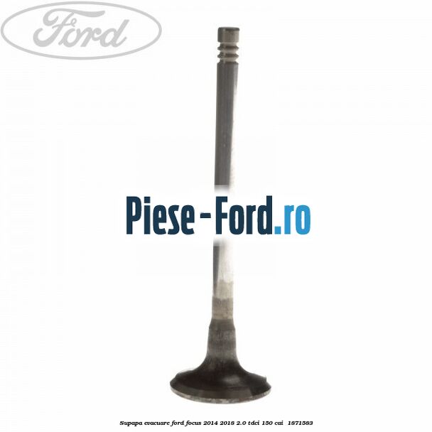 Supapa evacuare Ford Focus 2014-2018 2.0 TDCi 150 cai #E314F637E5