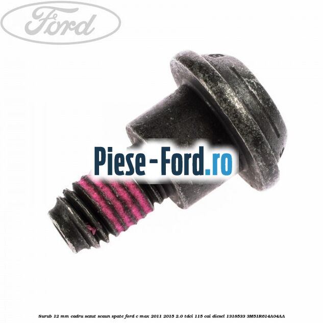 Surub 10 mm special Ford C-Max 2011-2015 2.0 TDCi 115 cai diesel