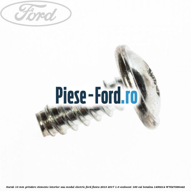 Surub 10 mm special Ford Fiesta 2013-2017 1.0 EcoBoost 100 cai benzina