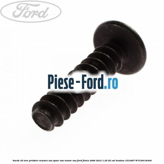 Surub 25 mm prindere macara usa spate sau maner usa Ford Fiesta 2008-2012 1.25 82 cai benzina