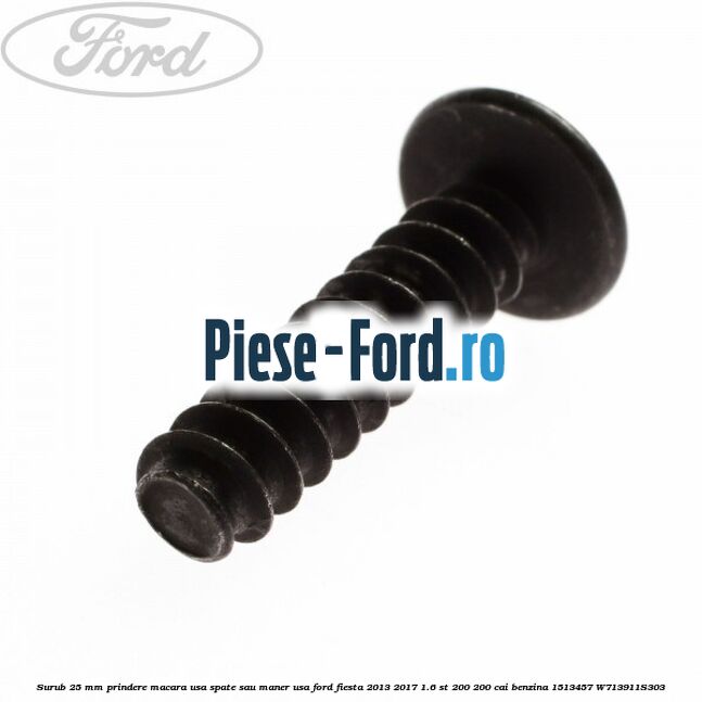 Surub 25 mm prindere macara usa spate sau maner usa Ford Fiesta 2013-2017 1.6 ST 200 200 cai benzina