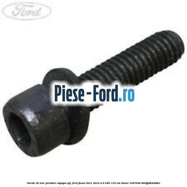 Surub 25 mm prindere supapa EGR Ford Focus 2011-2014 2.0 TDCi 115 cai diesel
