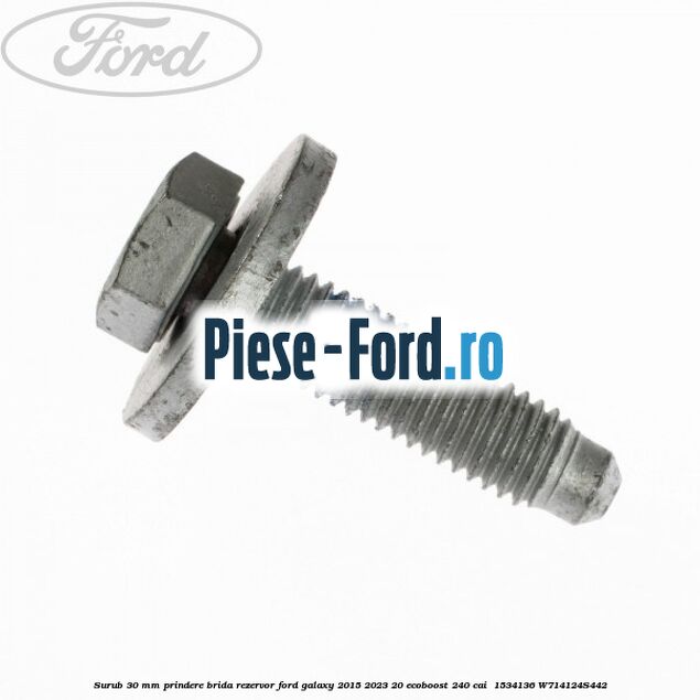 Surub 30 mm prindere brida rezervor Ford Galaxy 2015-2023 2.0 EcoBoost 240 cai #D9F4BD5576