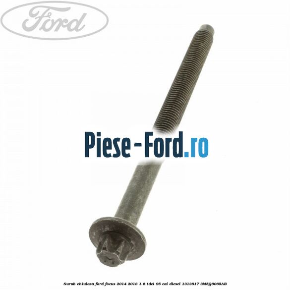 Surub chiulasa Ford Focus 2014-2018 1.6 TDCi 95 cai diesel
