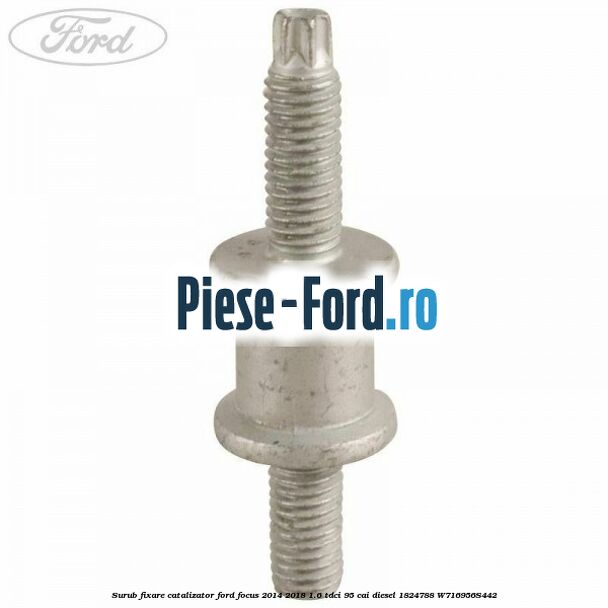 Surub fixare catalizator Ford Focus 2014-2018 1.6 TDCi 95 cai diesel