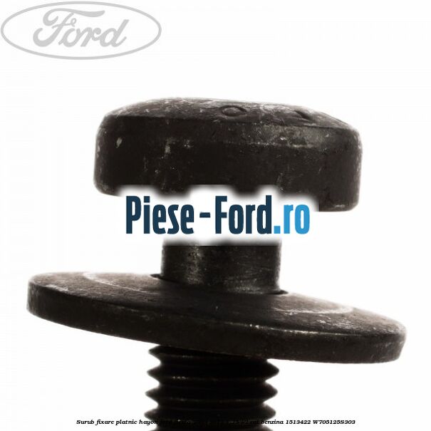 Surub fixare platnic hayon Ford Fiesta 2008-2012 1.25 82 cai benzina
