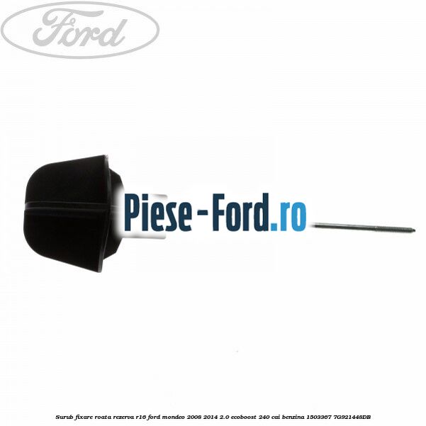 Surub fixare ramforsare usa Ford Mondeo 2008-2014 2.0 EcoBoost 240 cai benzina