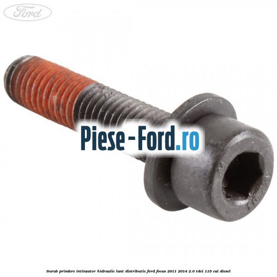 Surub prindere intinzator hidraulic lant distributie Ford Focus 2011-2014 2.0 TDCi 115 cai diesel