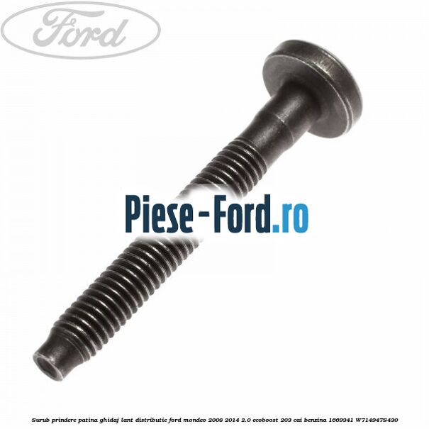 Surub prindere patina ghidaj lant distributie Ford Mondeo 2008-2014 2.0 EcoBoost 203 cai benzina