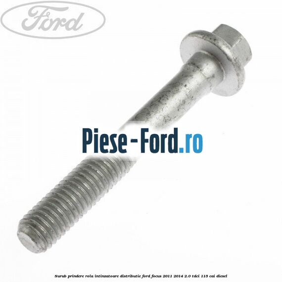 Surub prindere rola intinzatoare distributie Ford Focus 2011-2014 2.0 TDCi 115 cai diesel