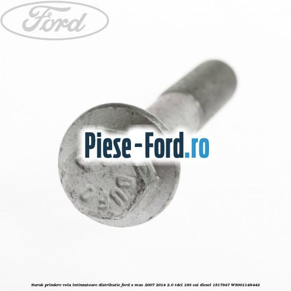 Surub prindere rola intinzatoare distributie Ford S-Max 2007-2014 2.0 TDCi 163 cai diesel