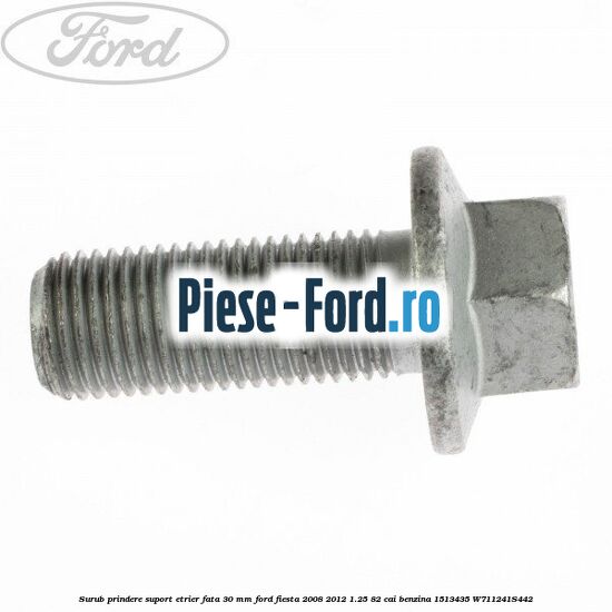 Surub prindere suport etrier fata 30 mm Ford Fiesta 2008-2012 1.25 82 cai benzina