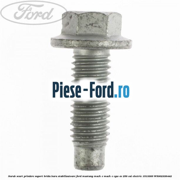 Surub scurt prindere suport brida bara stabilizatoare Ford Mustang Mach-E MACH-E (CGW) EV 258 cai #6FDC040E7D