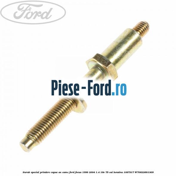 Surub prindere suport ax came Ford Focus 1998-2004 1.4 16V 75 cai benzina