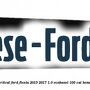 Bandou usa dreapta fata vertical Ford Fiesta 2013-2017 1.0 EcoBoost 100 cai benzina