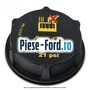 Buson vas expansiune negru Ford Fiesta 2013-2017 1.0 EcoBoost 125 cai benzina