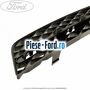 Grila bara fata an 11/2003-08/2006 Ford Galaxy 2000-2006 1.9 TDI 130 cai diesel | Foto 2 #9B1B7B7813