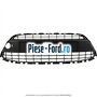 Grila bara fata mijloc cu locas crom Ford Fiesta 2008-2012 1.4 97 cai benzina | Foto 4 #548305B43A