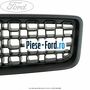 Grila radiator dupa 09/2005 Ford Fusion 1.6 TDCi 90 cai  | Foto 6 #6FDD0AFC07