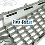 Grila radiator Platinum Silver an 02/2007-09/2010 Ford Mondeo 2008-2014 1.6 Ti 110 cai benzina | Foto 2 #A178D42668