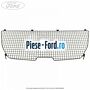 Grilaj separator portbagaj Ford Fiesta 2013-2017 1.6 TDCi 95 cai diesel | Foto 1 #DC95607E8E