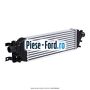 Radiator intercooler Ford Fusion 1.4 TDCi 68 cai  | Foto 1 #F03DFB2D32
